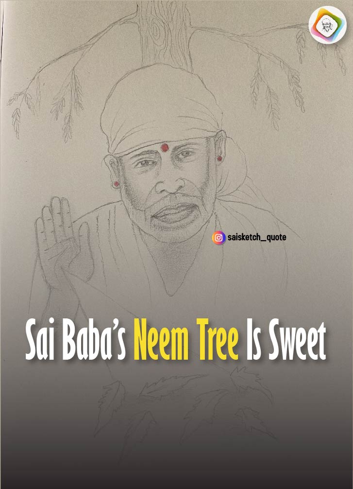 Sai Baba The Saviour